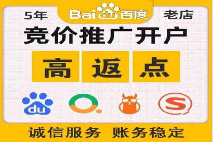优化SEM竞价策略：成功案例剖析